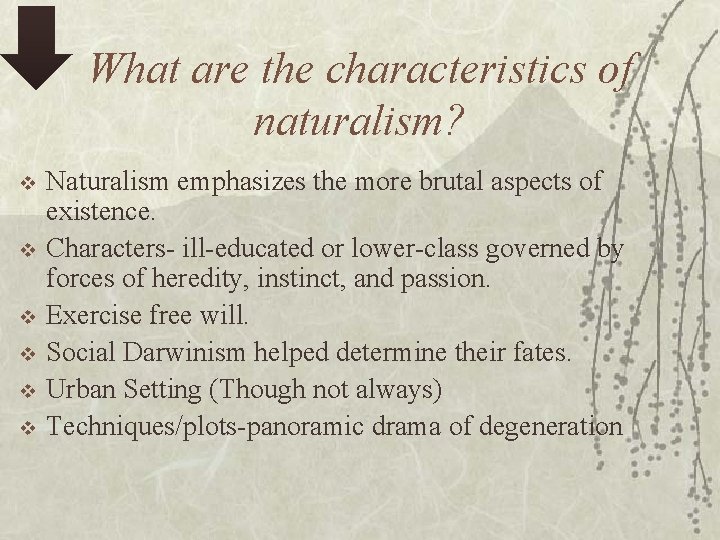 What are the characteristics of naturalism? v v v Naturalism emphasizes the more brutal