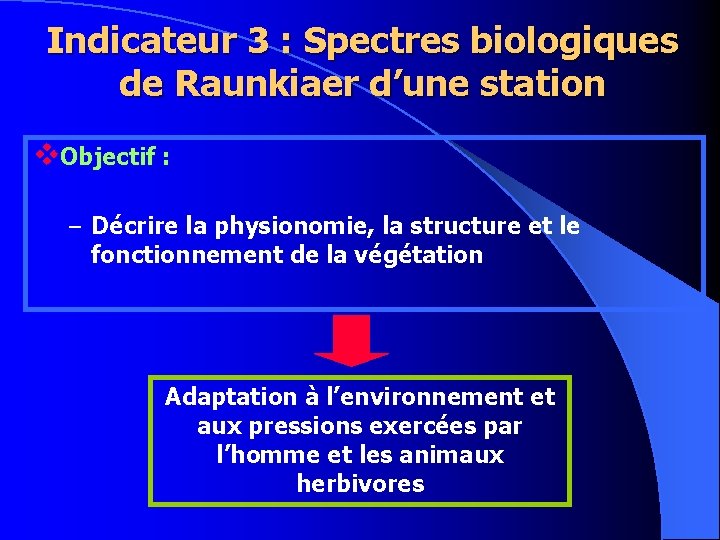 Indicateur 3 : Spectres biologiques de Raunkiaer d’une station v. Objectif : – Décrire