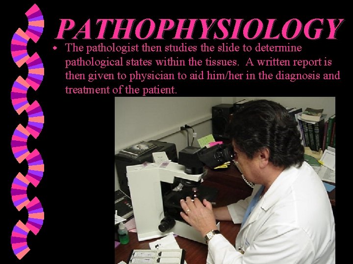 PATHOPHYSIOLOGY w The pathologist then studies the slide to determine pathological states within the