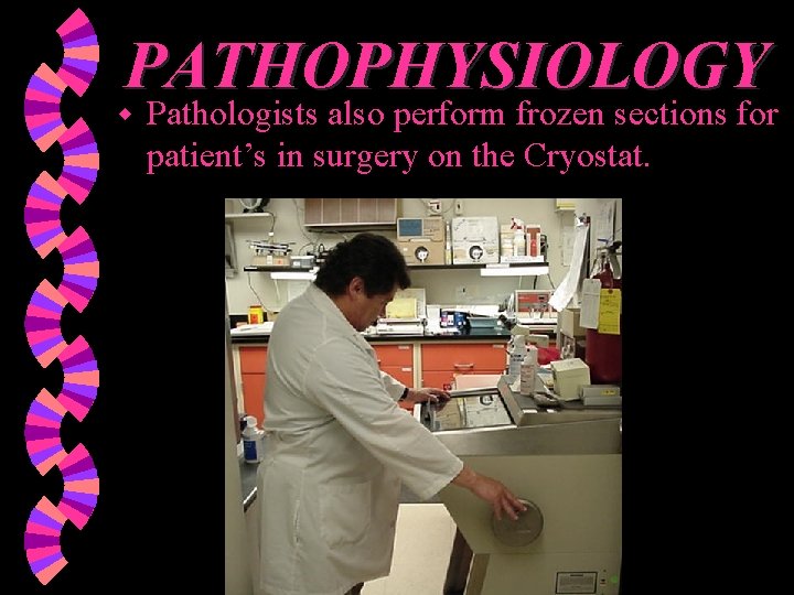 PATHOPHYSIOLOGY w Pathologists also perform frozen sections for patient’s in surgery on the Cryostat.