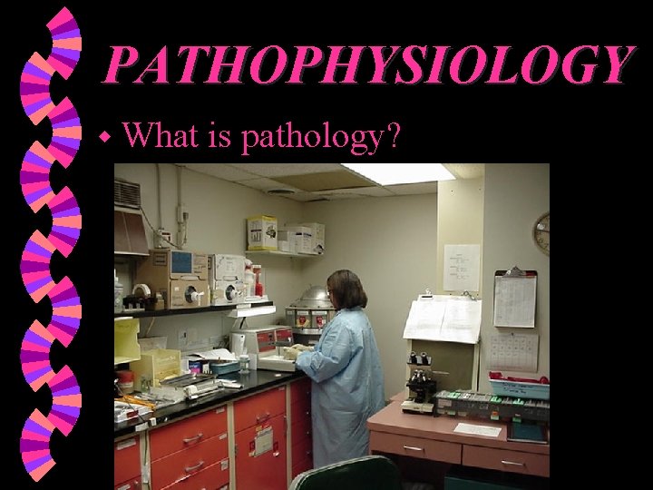PATHOPHYSIOLOGY w What is pathology? 