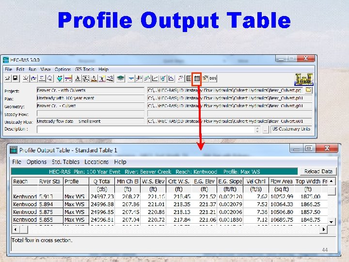 Profile Output Table 44 