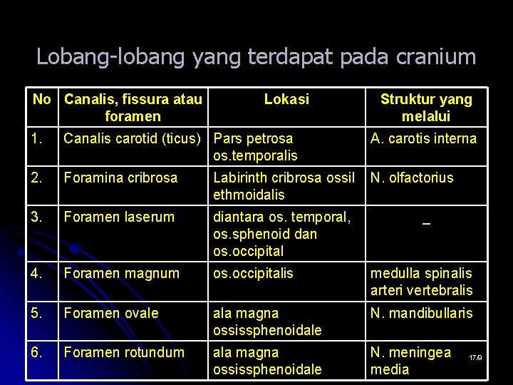 Lobang-lobang yang terdapat pada cranium No Canalis, fissura atau foramen Lokasi Struktur yang melalui Lobang-lobang yang terdapat pada cranium No Canalis, fissura atau foramen Lokasi Struktur yang melalui