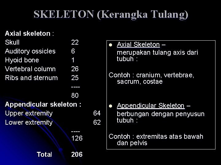 SKELETON (Kerangka Tulang) Axial skeleton : Skull Auditory ossicles Hyoid bone Vertebral column Ribs SKELETON (Kerangka Tulang) Axial skeleton : Skull Auditory ossicles Hyoid bone Vertebral column Ribs