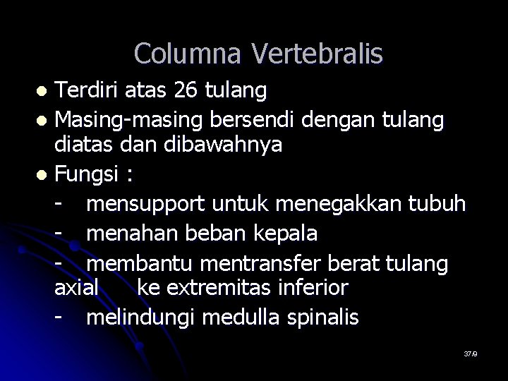 Columna Vertebralis Terdiri atas 26 tulang l Masing-masing bersendi dengan tulang diatas dan dibawahnya Columna Vertebralis Terdiri atas 26 tulang l Masing-masing bersendi dengan tulang diatas dan dibawahnya