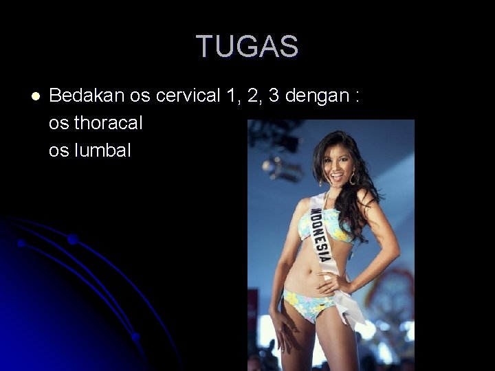 TUGAS l Bedakan os cervical 1, 2, 3 dengan : os thoracal os lumbal TUGAS l Bedakan os cervical 1, 2, 3 dengan : os thoracal os lumbal