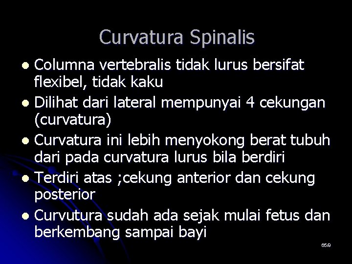 Curvatura Spinalis Columna vertebralis tidak lurus bersifat flexibel, tidak kaku l Dilihat dari lateral Curvatura Spinalis Columna vertebralis tidak lurus bersifat flexibel, tidak kaku l Dilihat dari lateral