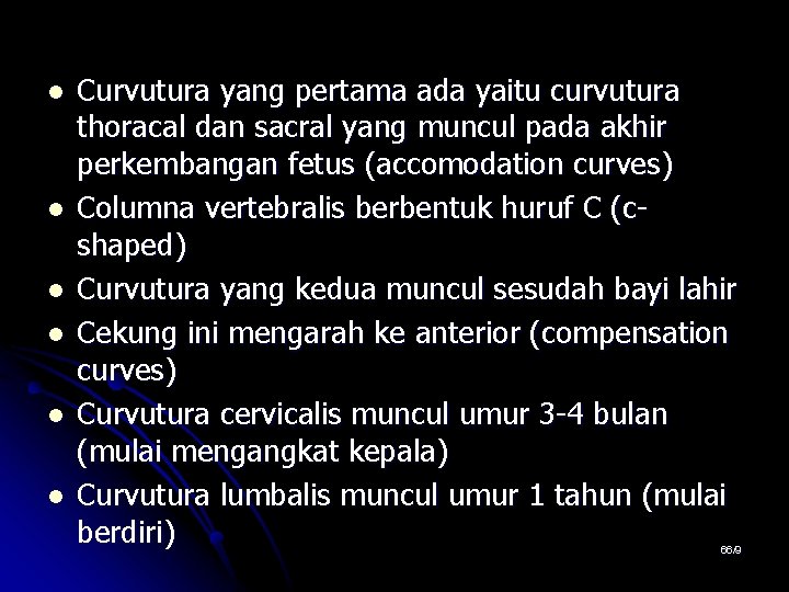 l l l Curvutura yang pertama ada yaitu curvutura thoracal dan sacral yang muncul l l l Curvutura yang pertama ada yaitu curvutura thoracal dan sacral yang muncul