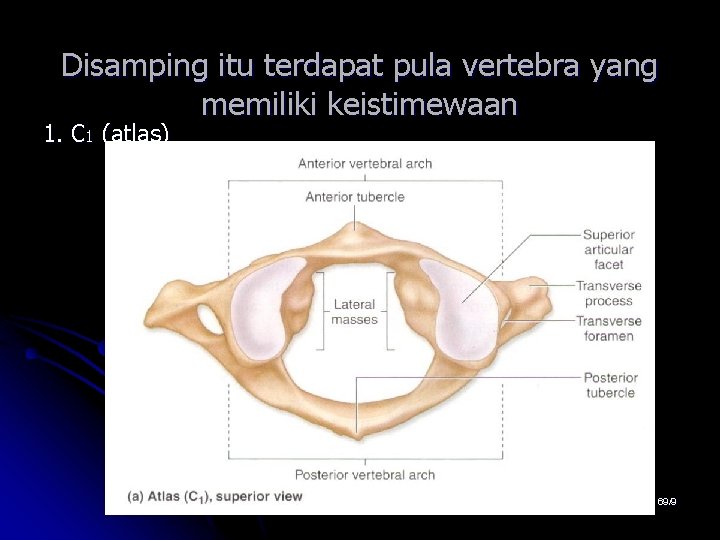 Disamping itu terdapat pula vertebra yang memiliki keistimewaan 1. C 1 (atlas) 69/9 Disamping itu terdapat pula vertebra yang memiliki keistimewaan 1. C 1 (atlas) 69/9