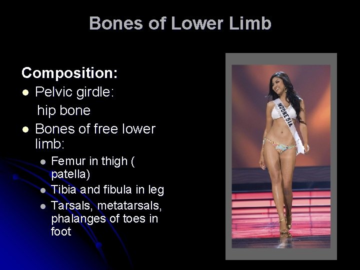 Bones of Lower Limb Composition: l l Pelvic girdle: hip bone Bones of free Bones of Lower Limb Composition: l l Pelvic girdle: hip bone Bones of free