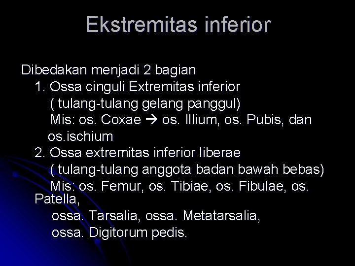 Ekstremitas inferior Dibedakan menjadi 2 bagian 1. Ossa cinguli Extremitas inferior ( tulang-tulang gelang Ekstremitas inferior Dibedakan menjadi 2 bagian 1. Ossa cinguli Extremitas inferior ( tulang-tulang gelang