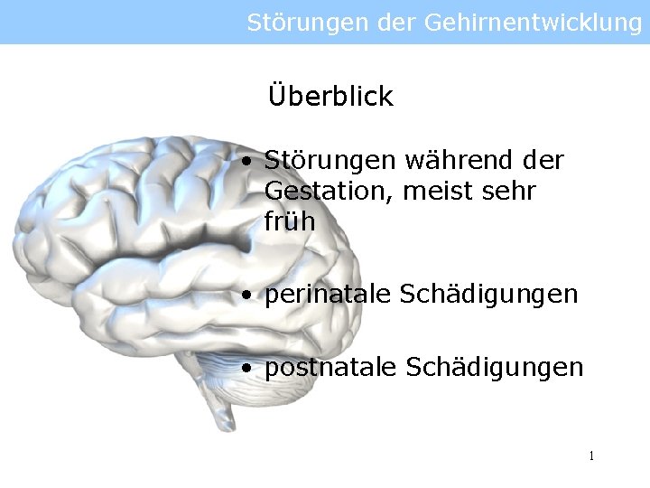 Störungen der Gehirnentwicklung Überblick • Störungen während der Gestation, meist sehr früh • perinatale