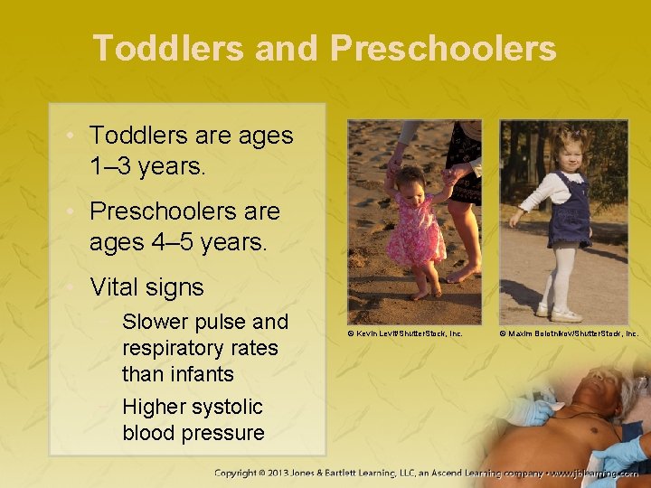 Toddlers and Preschoolers • Toddlers are ages 1– 3 years. • Preschoolers are ages Toddlers and Preschoolers • Toddlers are ages 1– 3 years. • Preschoolers are ages