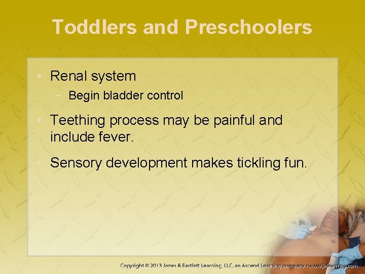 Toddlers and Preschoolers • Renal system − Begin bladder control • Teething process may Toddlers and Preschoolers • Renal system − Begin bladder control • Teething process may