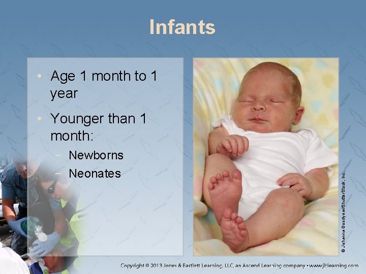 Infants • Age 1 month to 1 year − Newborns − Neonates © Johanna Infants • Age 1 month to 1 year − Newborns − Neonates © Johanna