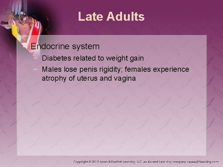 Late Adults • Endocrine system − Diabetes related to weight gain − Males lose Late Adults • Endocrine system − Diabetes related to weight gain − Males lose