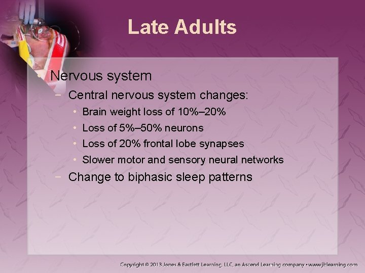 Late Adults • Nervous system − Central nervous system changes: • • Brain weight Late Adults • Nervous system − Central nervous system changes: • • Brain weight