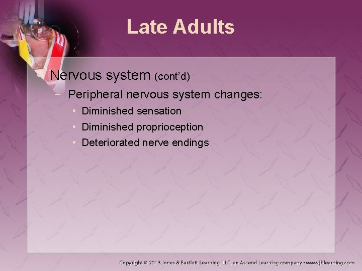 Late Adults • Nervous system (cont’d) − Peripheral nervous system changes: • Diminished sensation Late Adults • Nervous system (cont’d) − Peripheral nervous system changes: • Diminished sensation