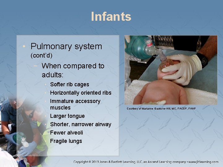Infants • Pulmonary system (cont’d) − When compared to adults: • Softer rib cages Infants • Pulmonary system (cont’d) − When compared to adults: • Softer rib cages