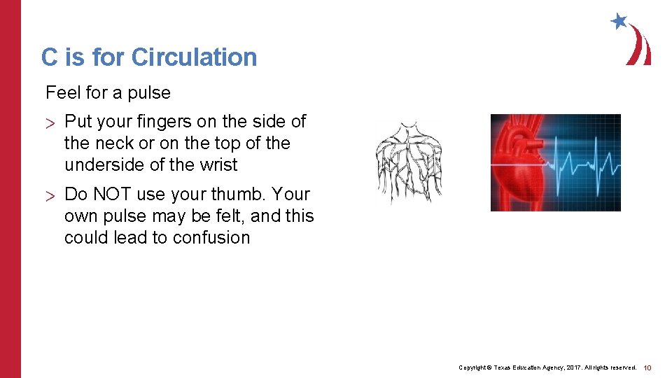 C is for Circulation Feel for a pulse > Put your fingers on the