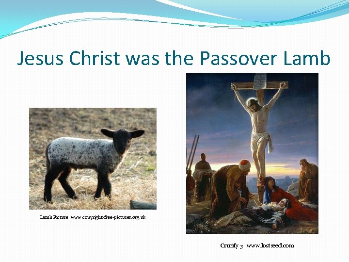 Jesus Christ was the Passover Lamb Picture www. copyright-free-pictures. org. uk Crucify 3 www.