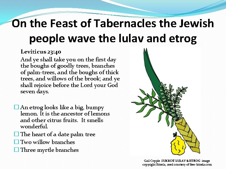 On the Feast of Tabernacles the Jewish people wave the lulav and etrog Leviticus