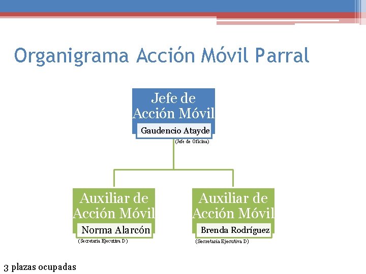 Organigrama Acción Móvil Parral Jefe de Acción Móvil Gaudencio Atayde (Jefe de Oficina) Auxiliar