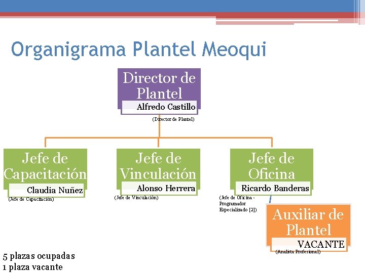 Organigrama Plantel Meoqui Director de Plantel Alfredo Castillo (Director de Plantel) Jefe de Capacitación