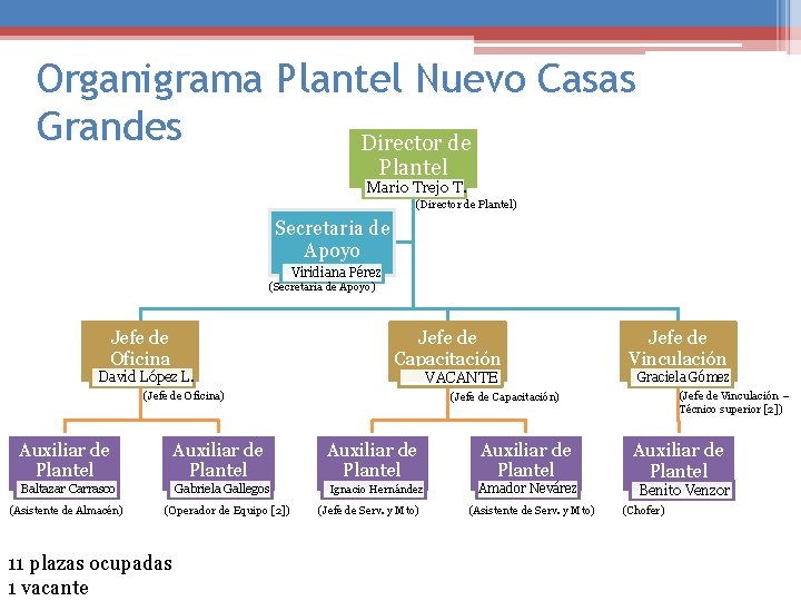 Organigrama Plantel Nuevo Casas Grandes Director de Plantel Mario Trejo T. (Director de Plantel)