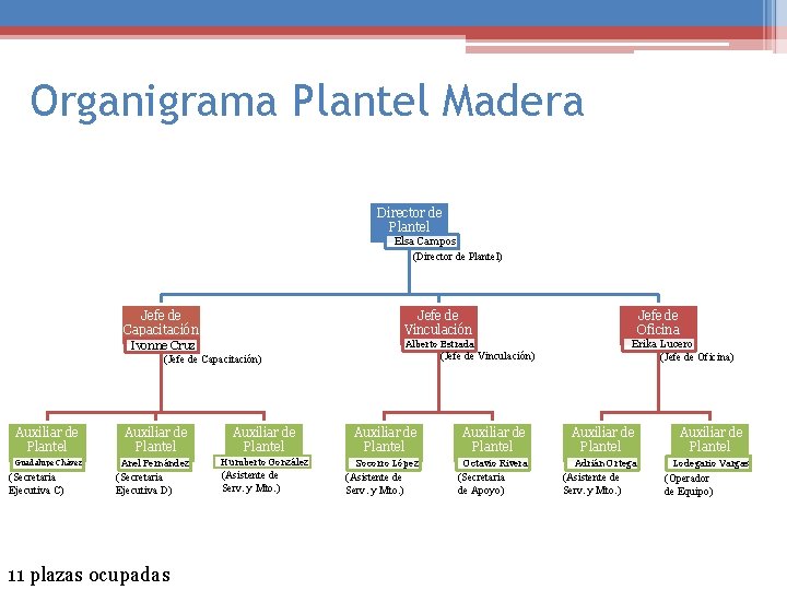 Organigrama Plantel Madera Director de Plantel Elsa Campos (Director de Plantel) Jefe de Capacitación