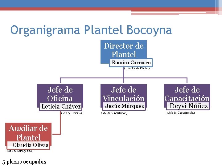 Organigrama Plantel Bocoyna Director de Plantel Ramiro Carrasco (Director de Plantel) Jefe de Oficina