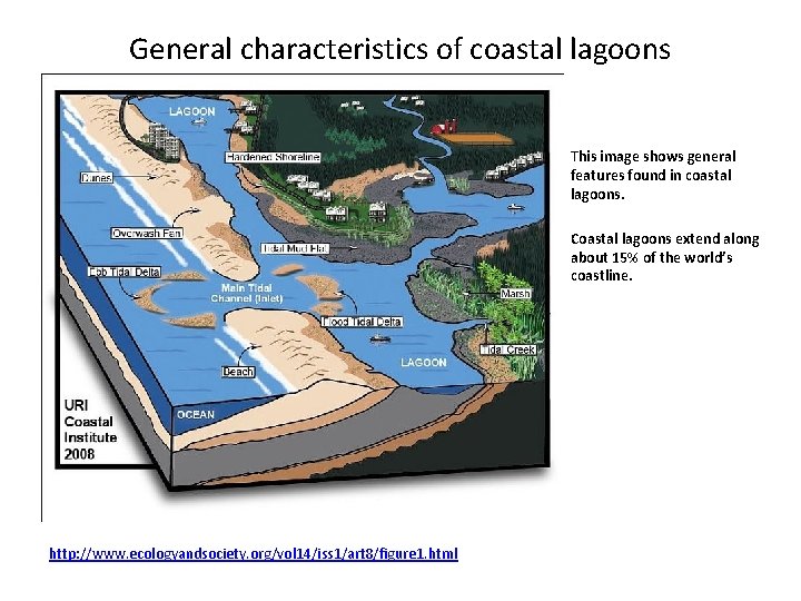 General characteristics of coastal lagoons This image shows general features found in coastal lagoons.