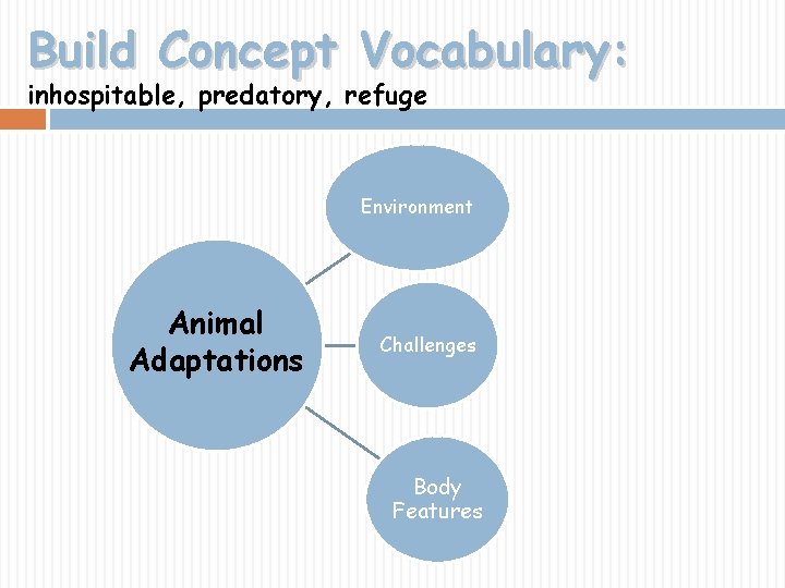 Build Concept Vocabulary: inhospitable, predatory, refuge Environment Animal Adaptations Challenges Body Features 