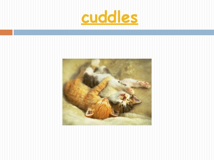 cuddles 