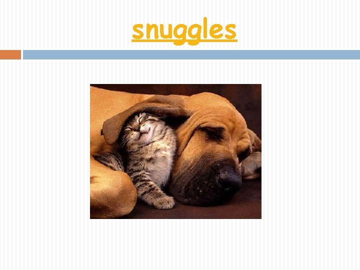 snuggles 