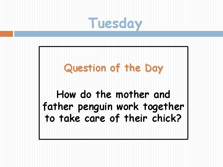 Tuesday Question of the Day How do the mother and father penguin work together