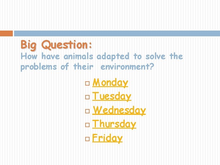 Big Question: How have animals adapted to solve the problems of their environment? Monday