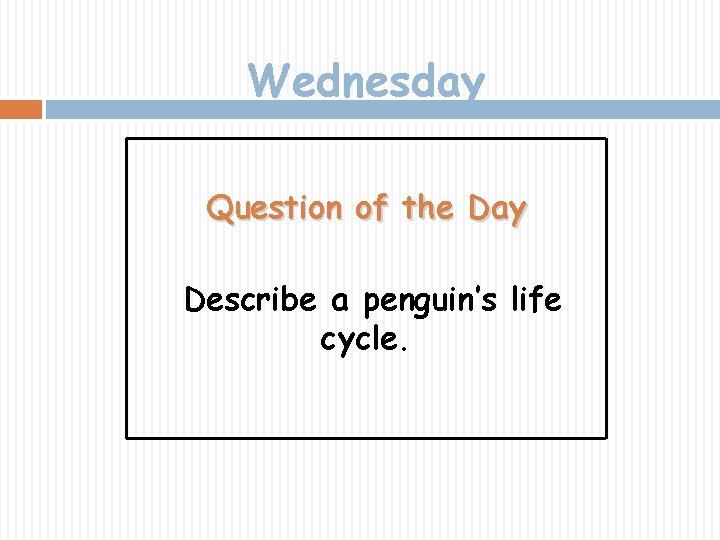 Wednesday Question of the Day Describe a penguin’s life cycle. 