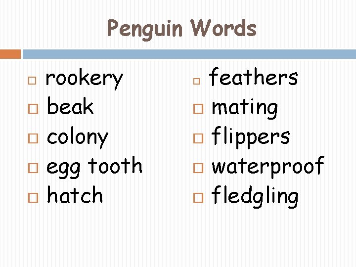 Penguin Words rookery beak colony egg tooth hatch feathers mating flippers waterproof fledgling 