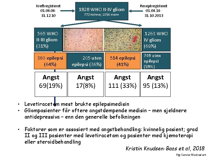 Kreftregisteret 01. 0431. 12. 10 565 WHO II-III gliom (31%) 1828 WHO II-IV gliom