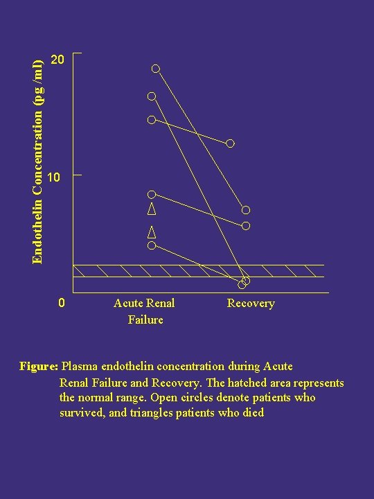 Endothelin Concentration (pg /ml) 20 10 0 Acute Renal Failure Recovery Figure: Plasma endothelin Endothelin Concentration (pg /ml) 20 10 0 Acute Renal Failure Recovery Figure: Plasma endothelin