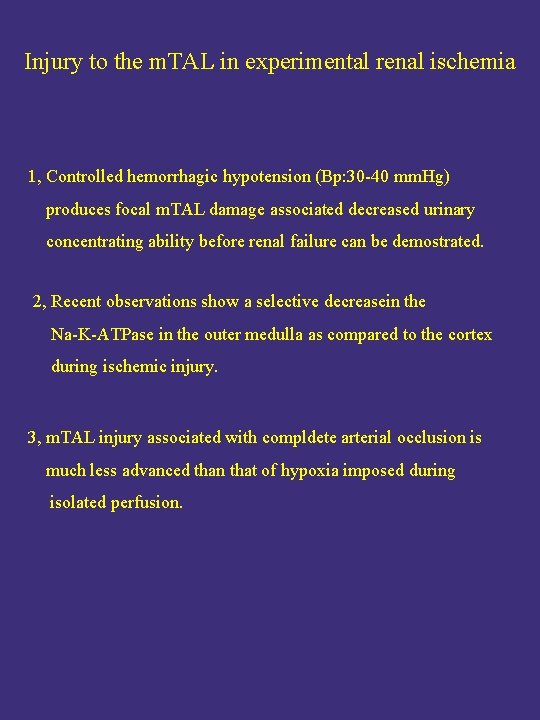 Injury to the m. TAL in experimental renal ischemia 1, Controlled hemorrhagic hypotension (Bp: