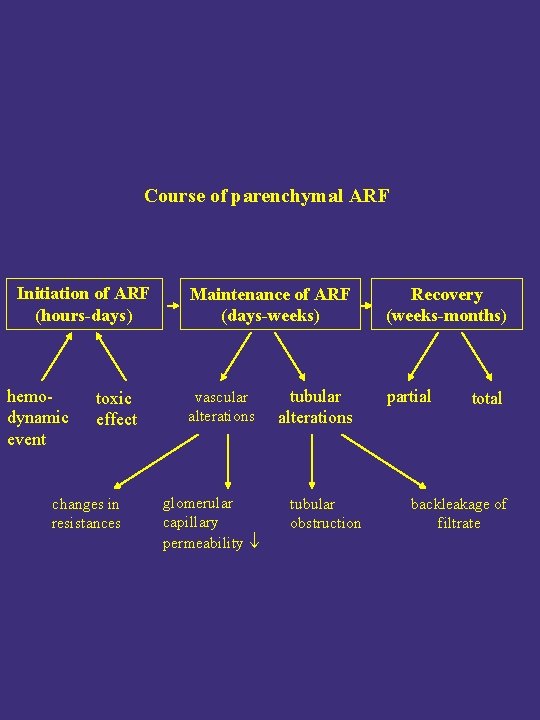 Course of parenchymal ARF Initiation of ARF (hours-days) hemodynamic event toxic effect changes in