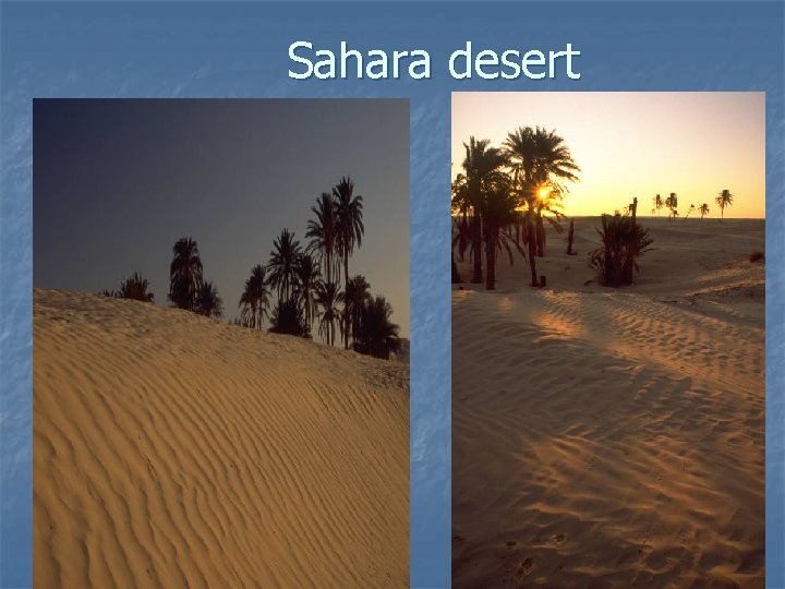 Sahara desert 