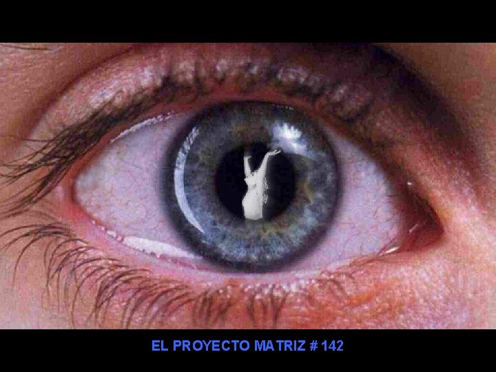 EL PROYECTO MATRIZ # 142 