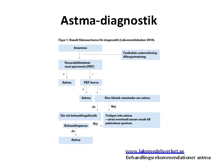 Astma-diagnostik www. lakemedelsverket. se Behandlingsrekommendationer astma 
