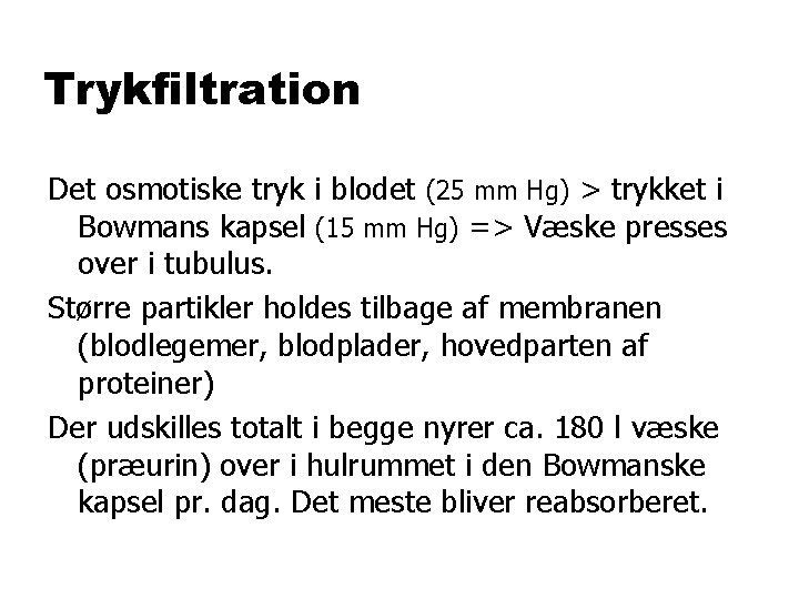 Trykfiltration Det osmotiske tryk i blodet (25 mm Hg) > trykket i Bowmans kapsel