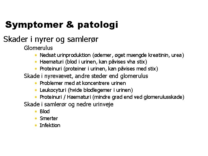 Symptomer & patologi Skader i nyrer og samlerør Glomerulus • Nedsat urinproduktion (ødemer, øget