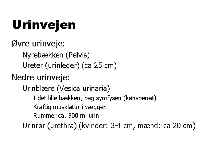 Urinvejen Øvre urinveje: Nyrebækken (Pelvis) Ureter (urinleder) (ca 25 cm) Nedre urinveje: Urinblære (Vesica