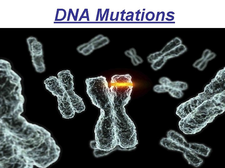 DNA Mutations 